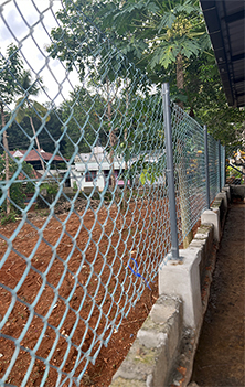 Customized fencing and entrance gate